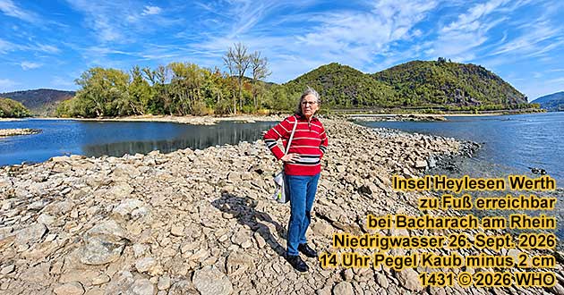 Insel Heylesen Werth bei Bacharach am Rhein zu Fu� erreichbar. Niedrigwasser 26. September 2026, 14 Uhr, Pegel Kaub minus 2 cm.
