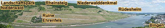 Landschaftspark Niederwald mit Wanderweg entlang dem Rheinsteig zum Niederwalddenkmal
